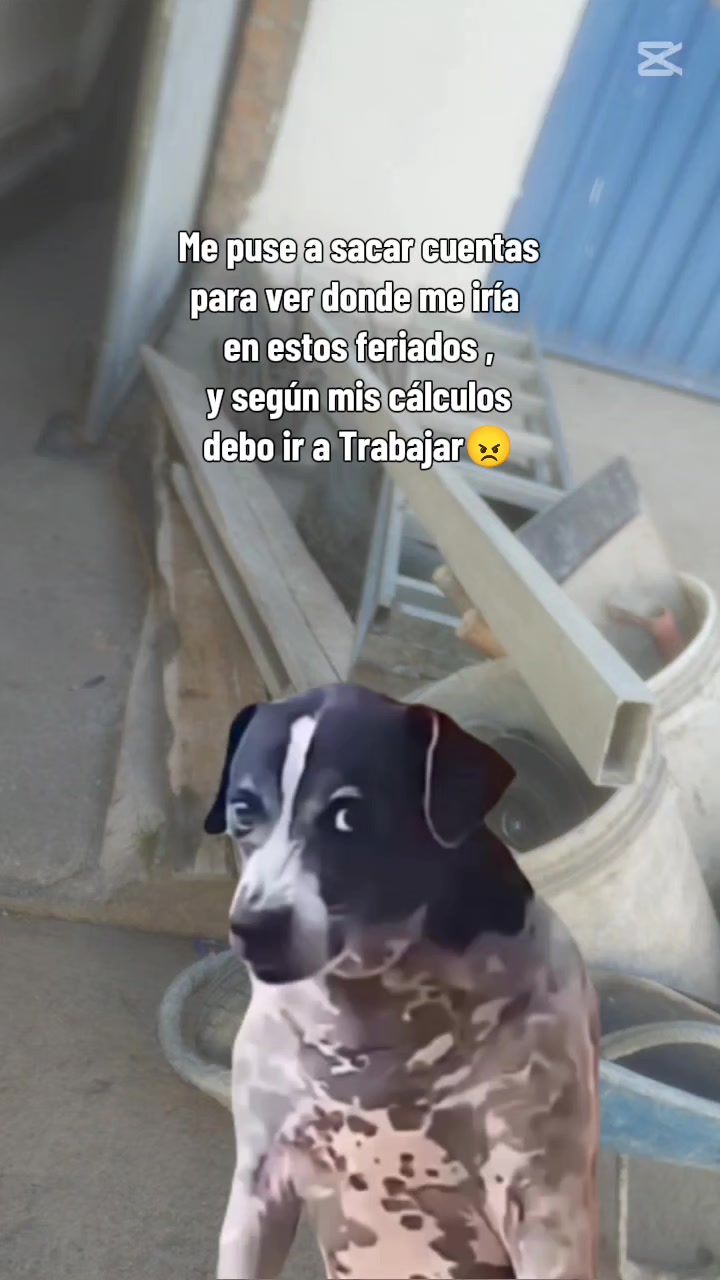 @viajero