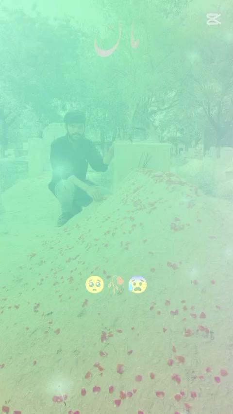 @Harison