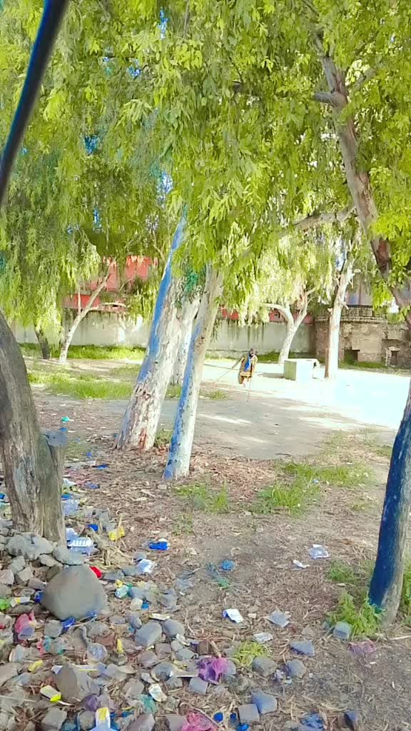 @Kamran Jani