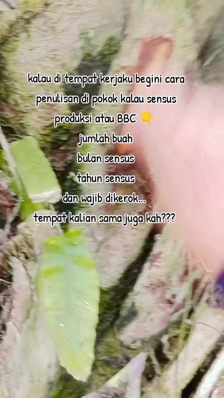@Daryani yani