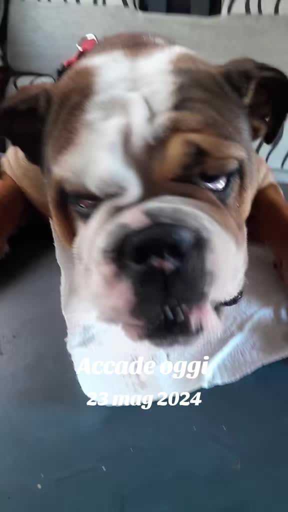 @Cri🐾M❤️rghy🐾labulla❤️