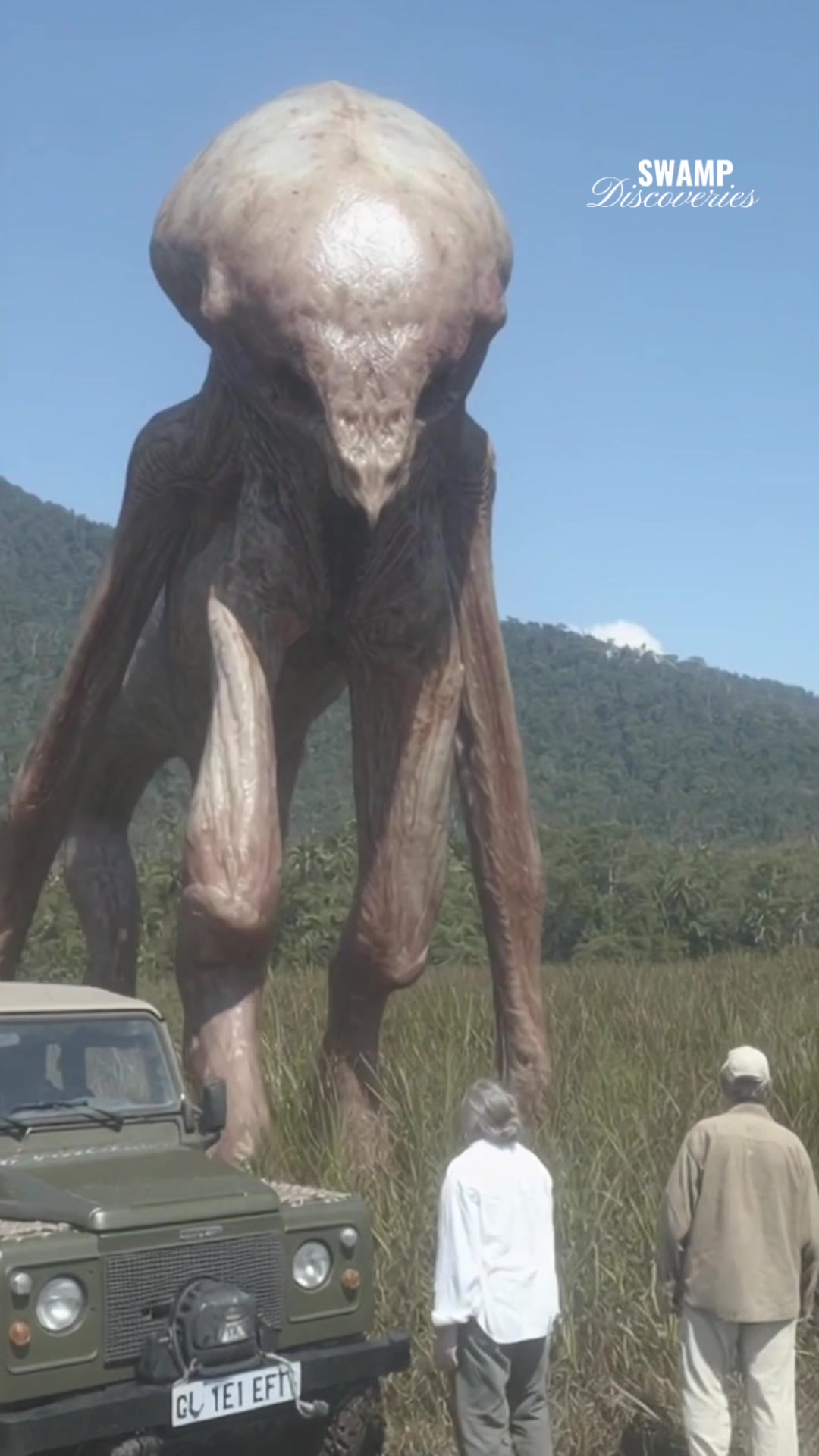 @SwampDiscoveries