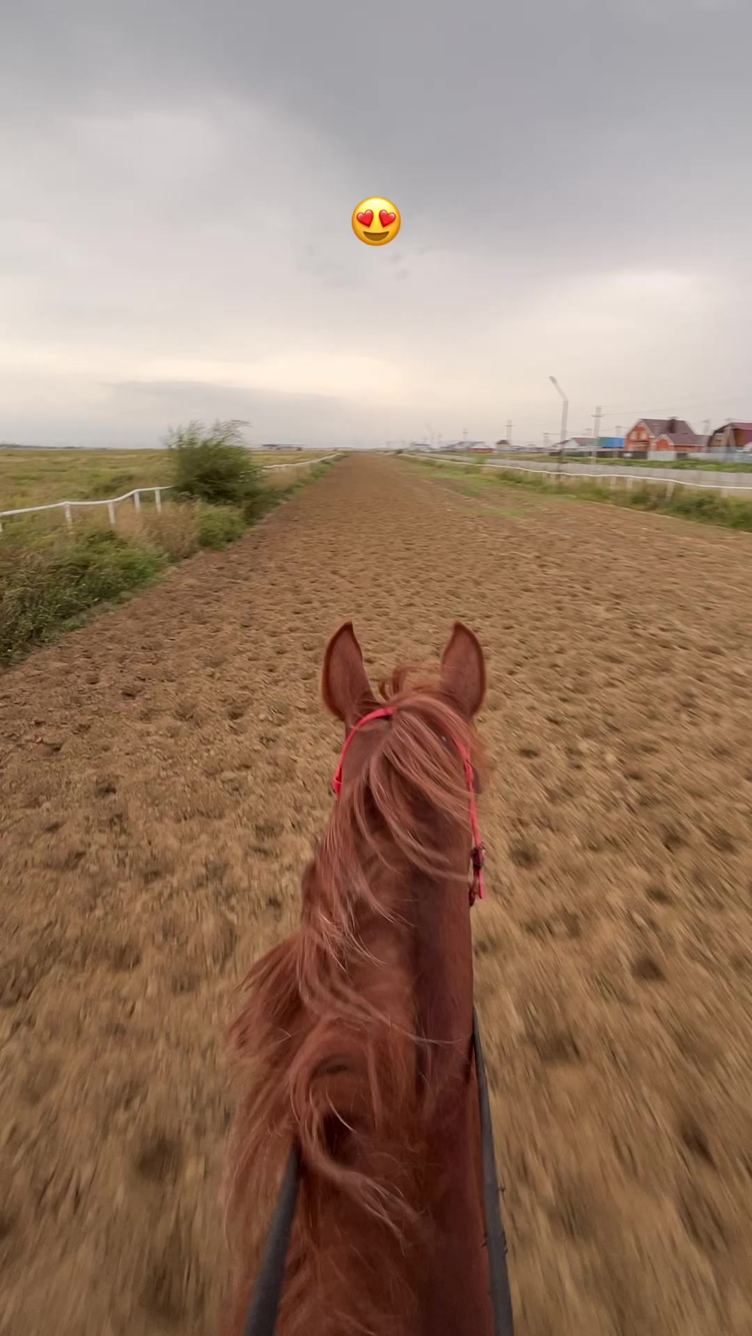 @🐎❤️
