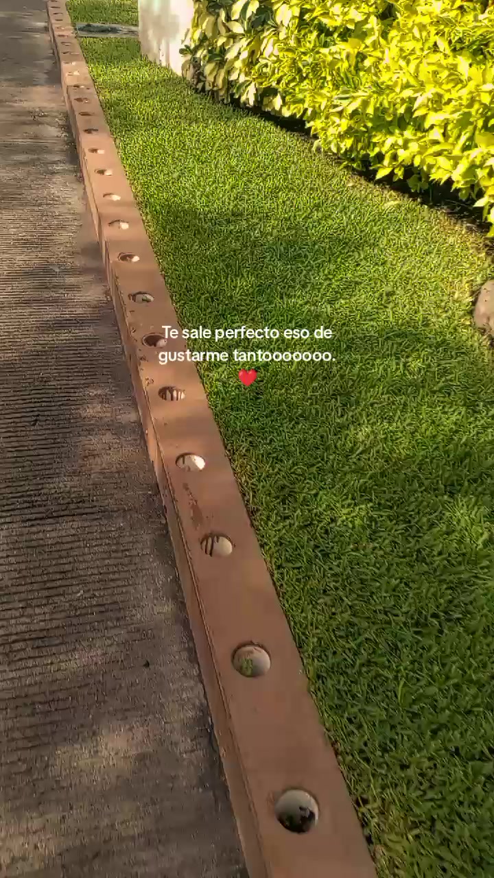 @Daniela S&aacute;nchez