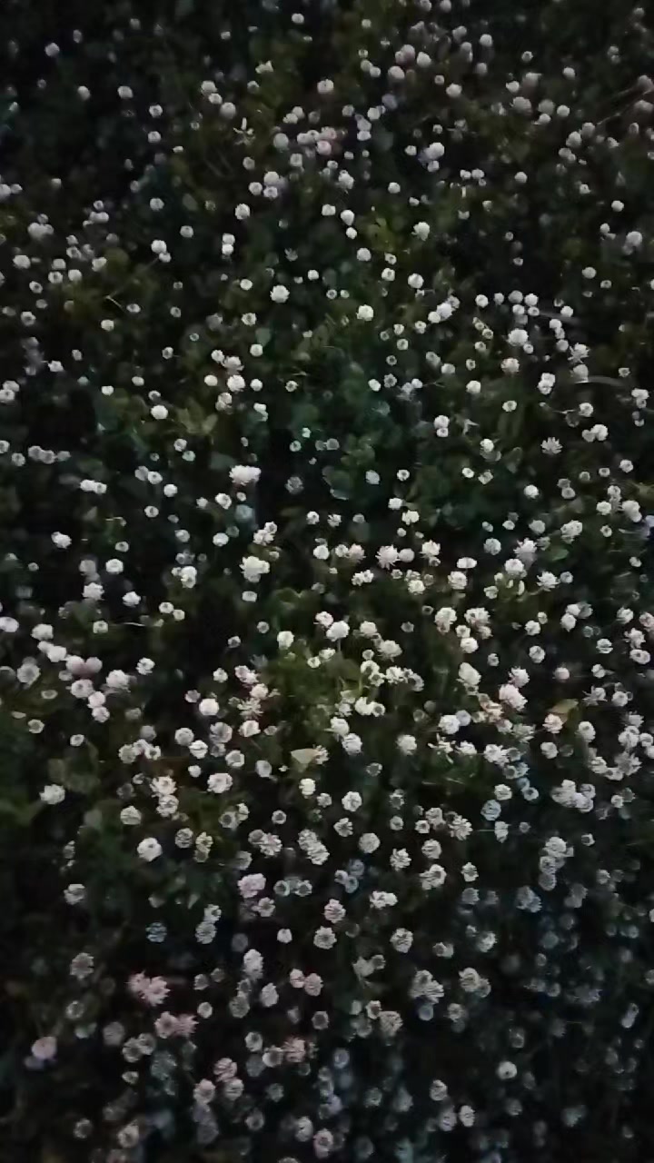 @Güler Kaya