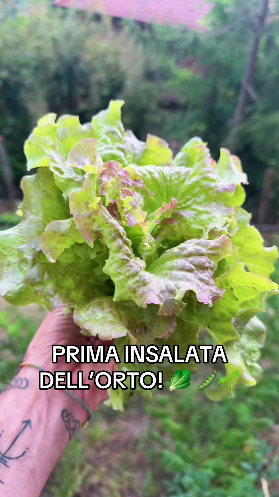 @Diego Rossano 🌟🕉️