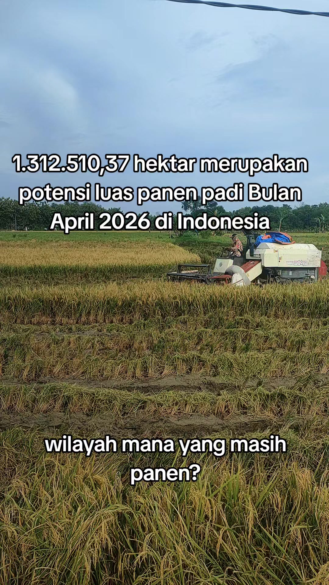 @ahmad mundir