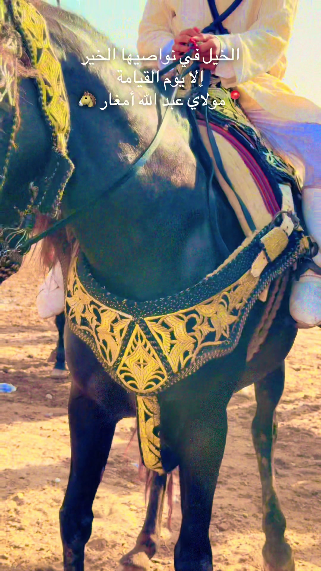 @👑Simo saif dokali👑