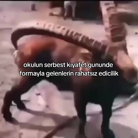 @ᶠᶸᶜᵏᵧₒᵤ!