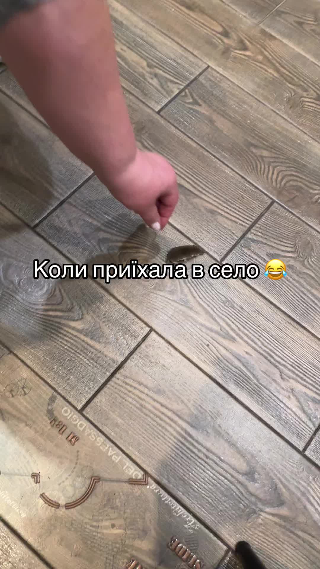 @АНАСТАСІЯ