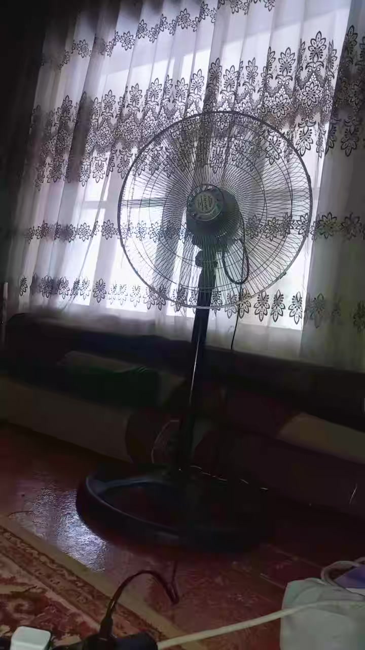 @İlqarAlışovOfficial
