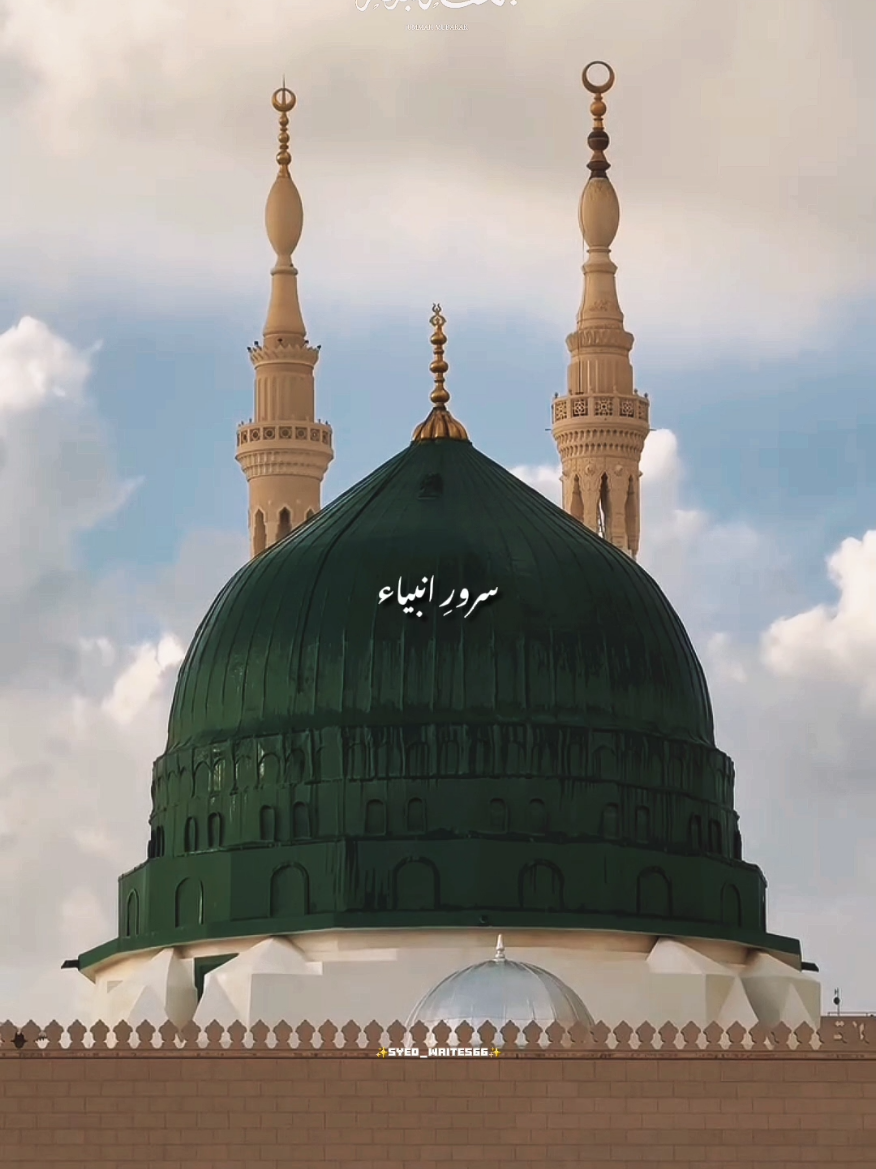 @✨𝗦𝘆𝗲𝗱 𝗪𝗿𝗶𝘁𝗲𝘀✨