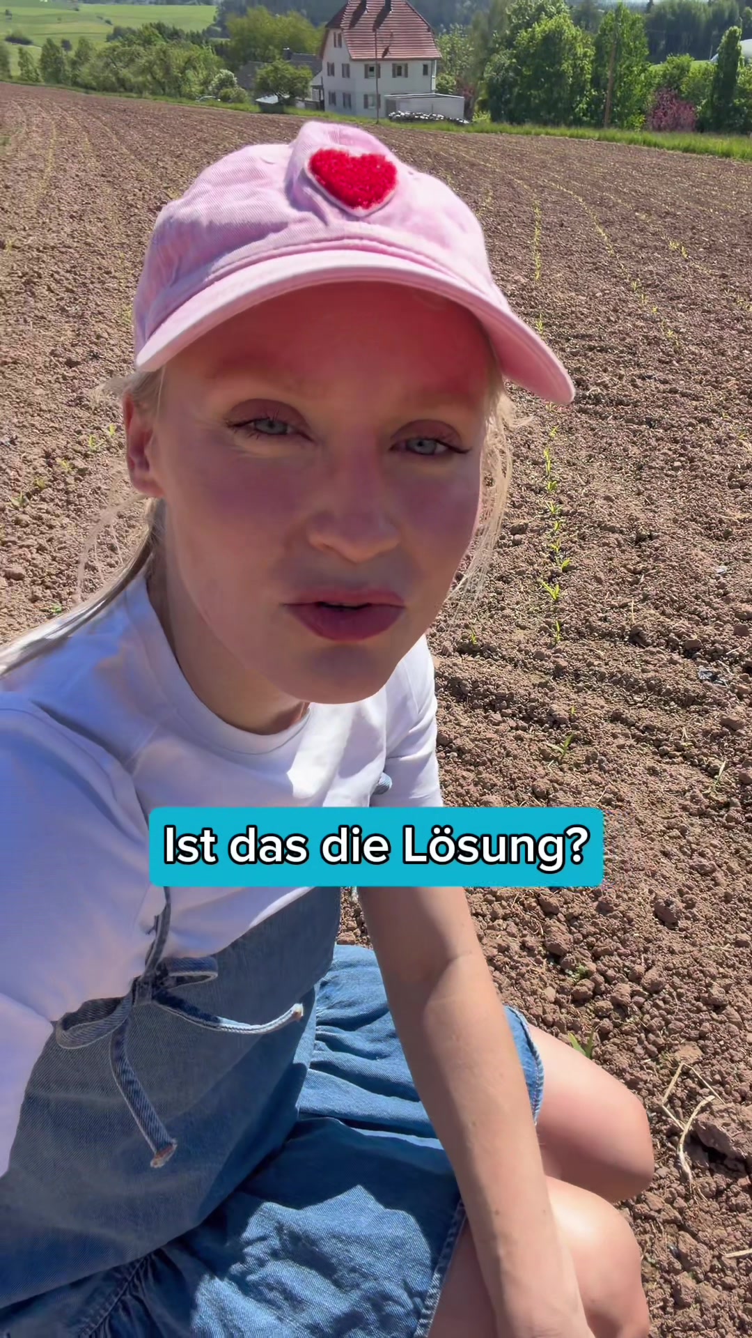 @Schwenks-Hofleben | SWR Heimat