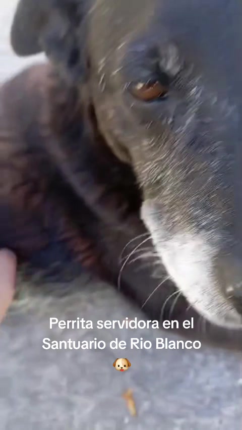 @Ahí vamos viajando