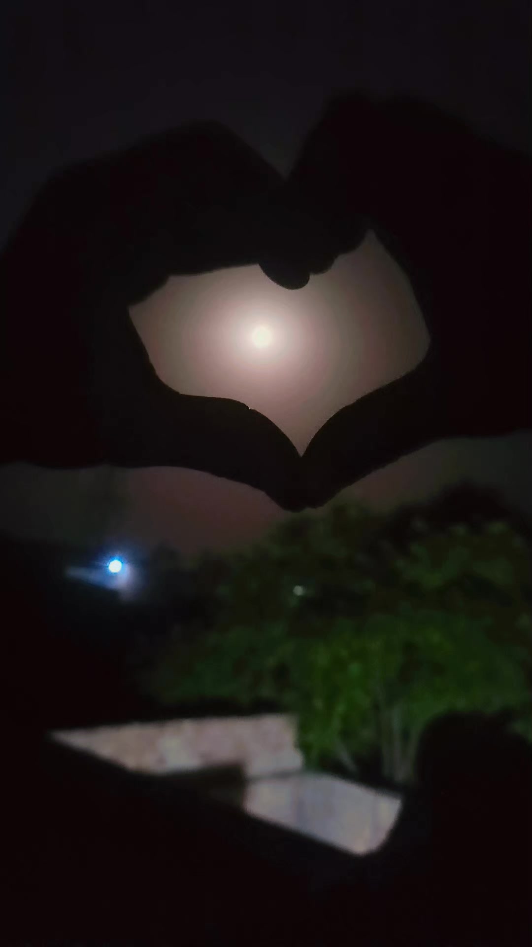 @🇵🇰 میاں صاحب 🇵🇰 🚭 𝑵𝒐 🚭