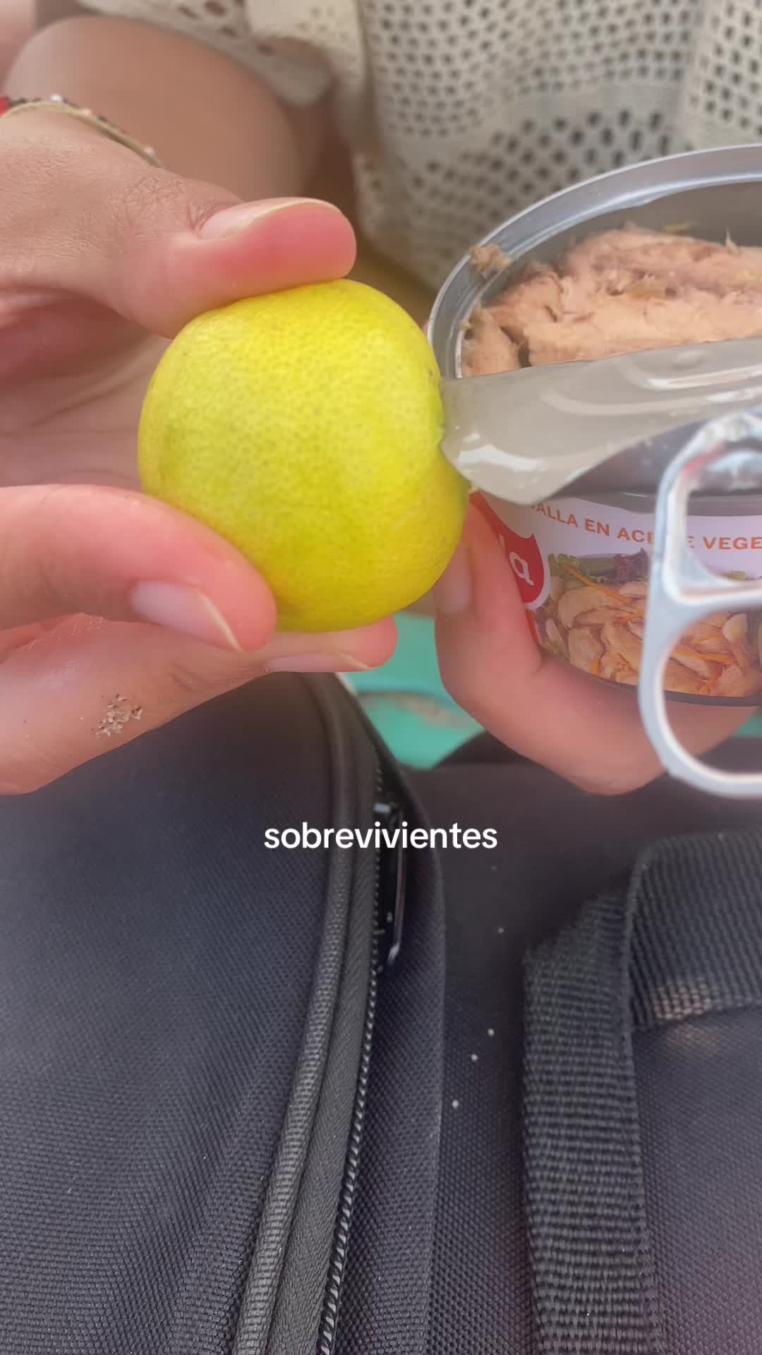 @abeja maya 🐝🌊