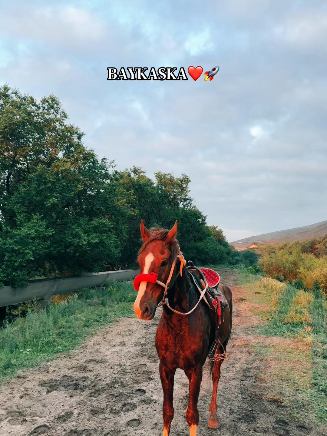 @𝐁𝐄𝐊𝐎𝐒𝐇