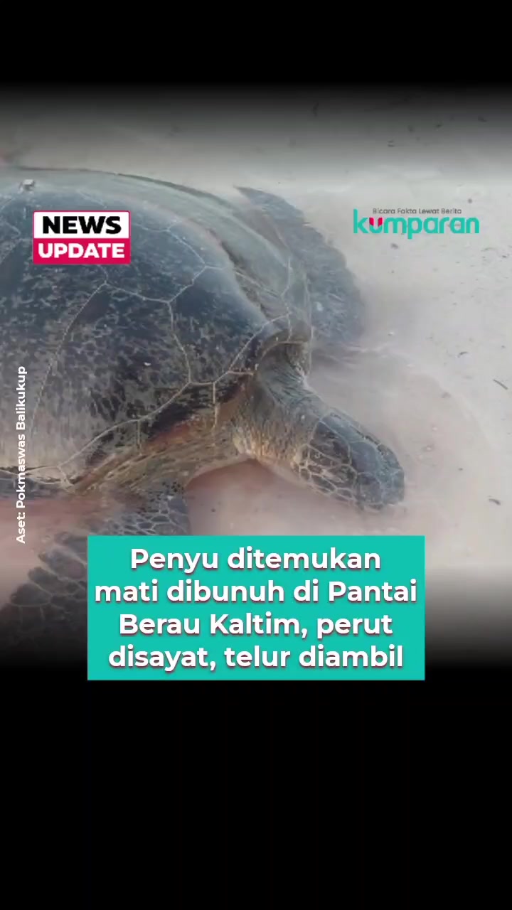 @kumparan