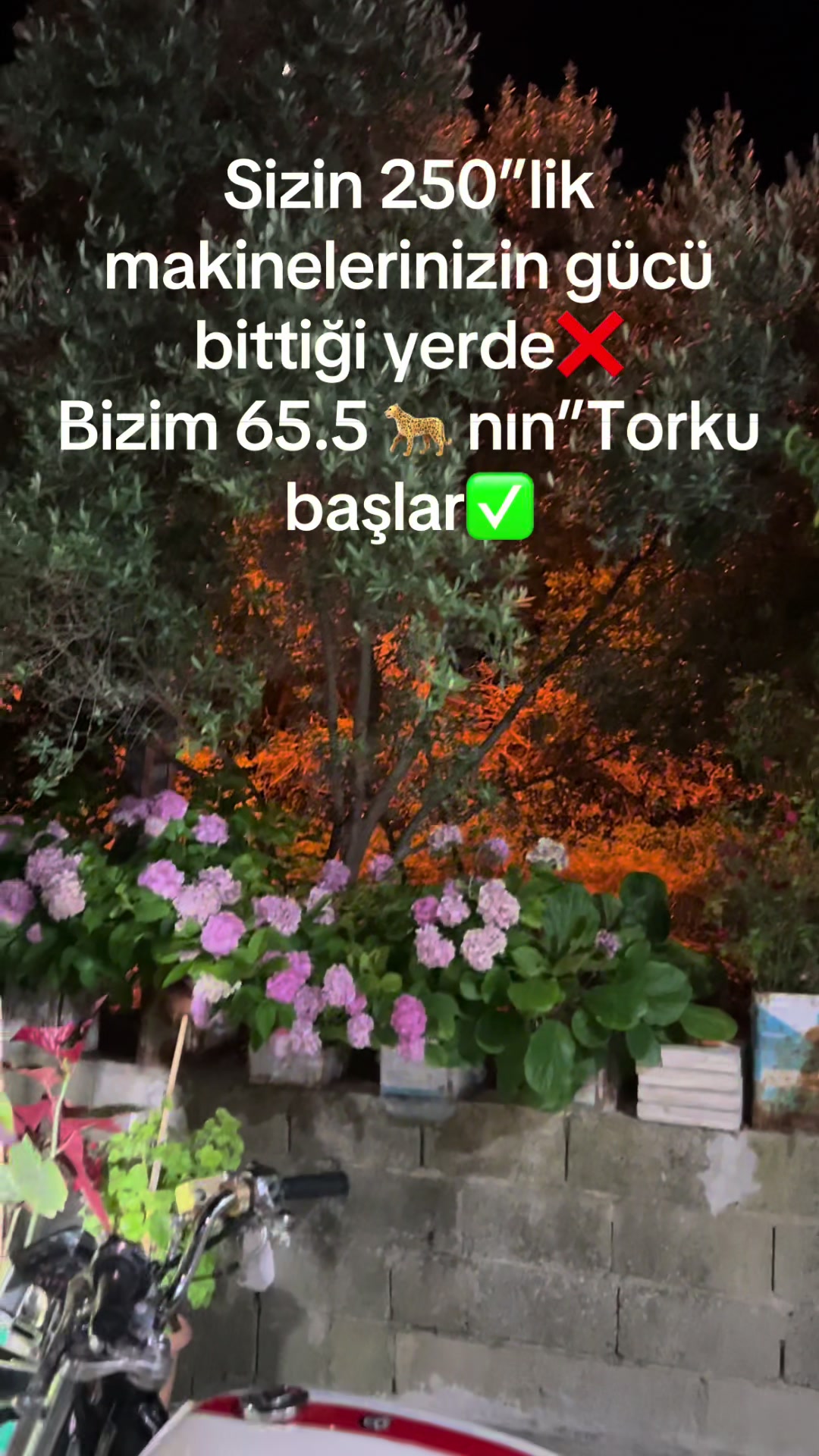 @çılgın Tamirci
