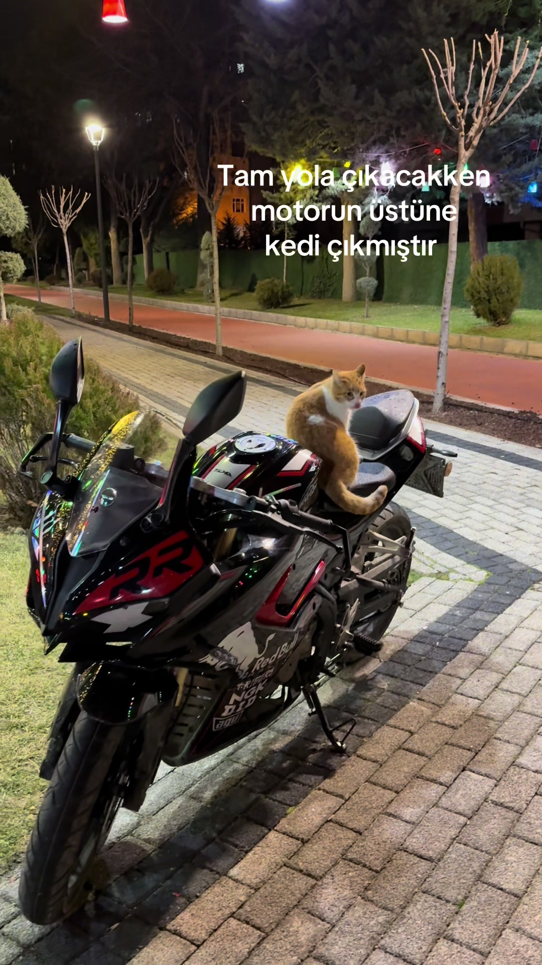 @s125cakir