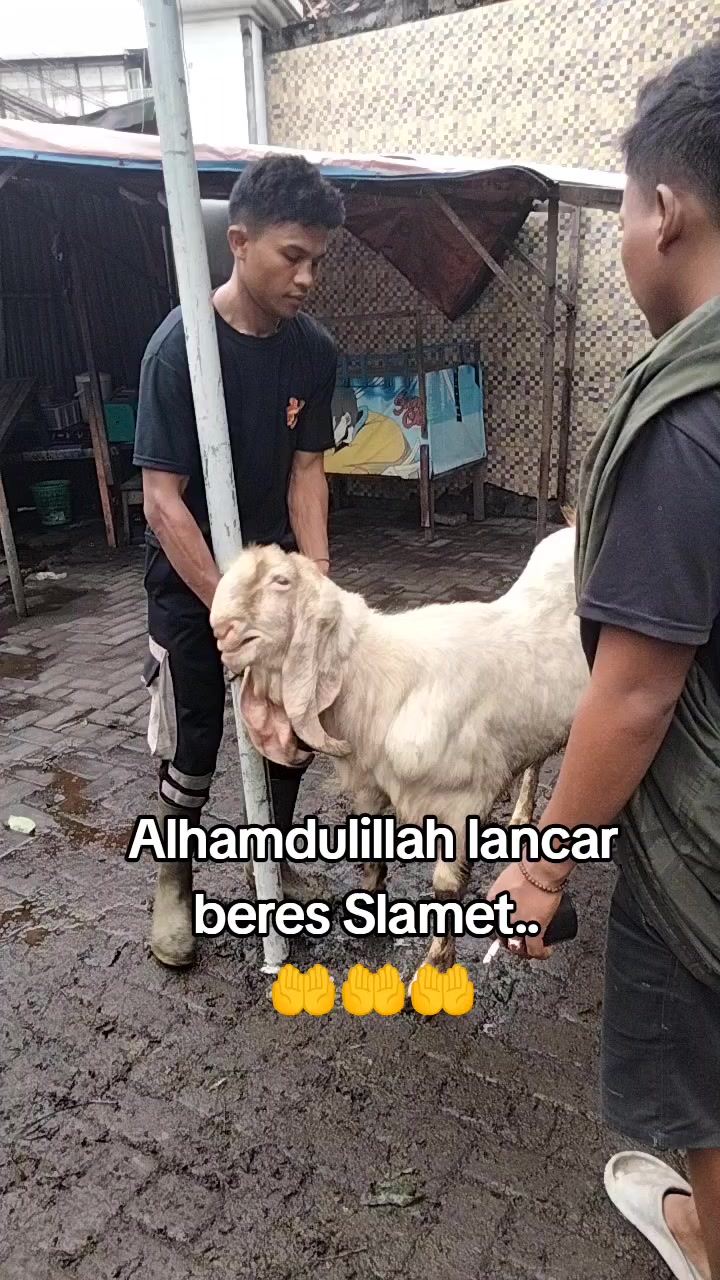 @SAM R.J.F