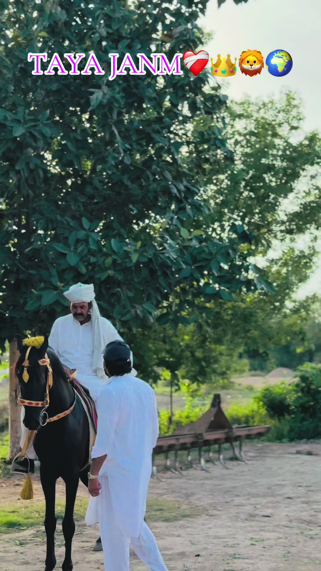 @مہر عبدالرحمن ڈاہر⚜️