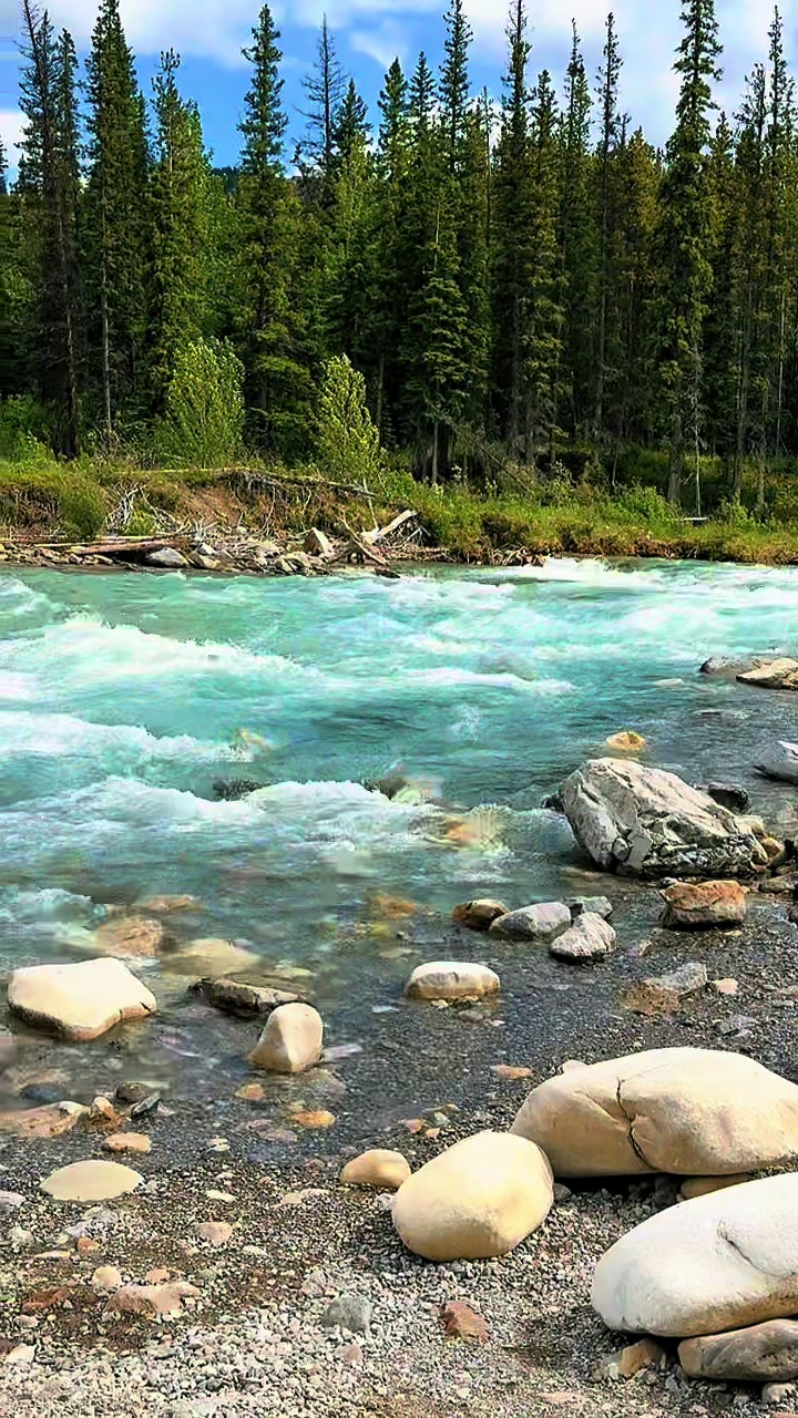 @🇨🇦 ਬੈਨੀਪਾਲ 🇨🇦