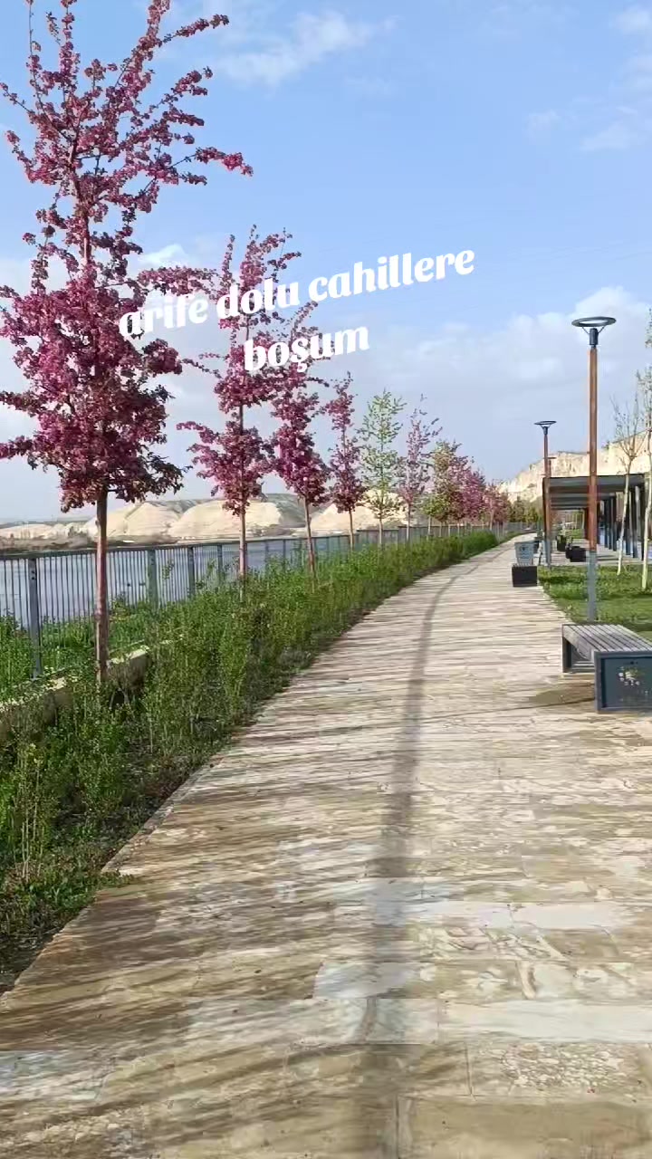 @🥀 @SUSKUN Y&Uuml;REĞİM 🥀