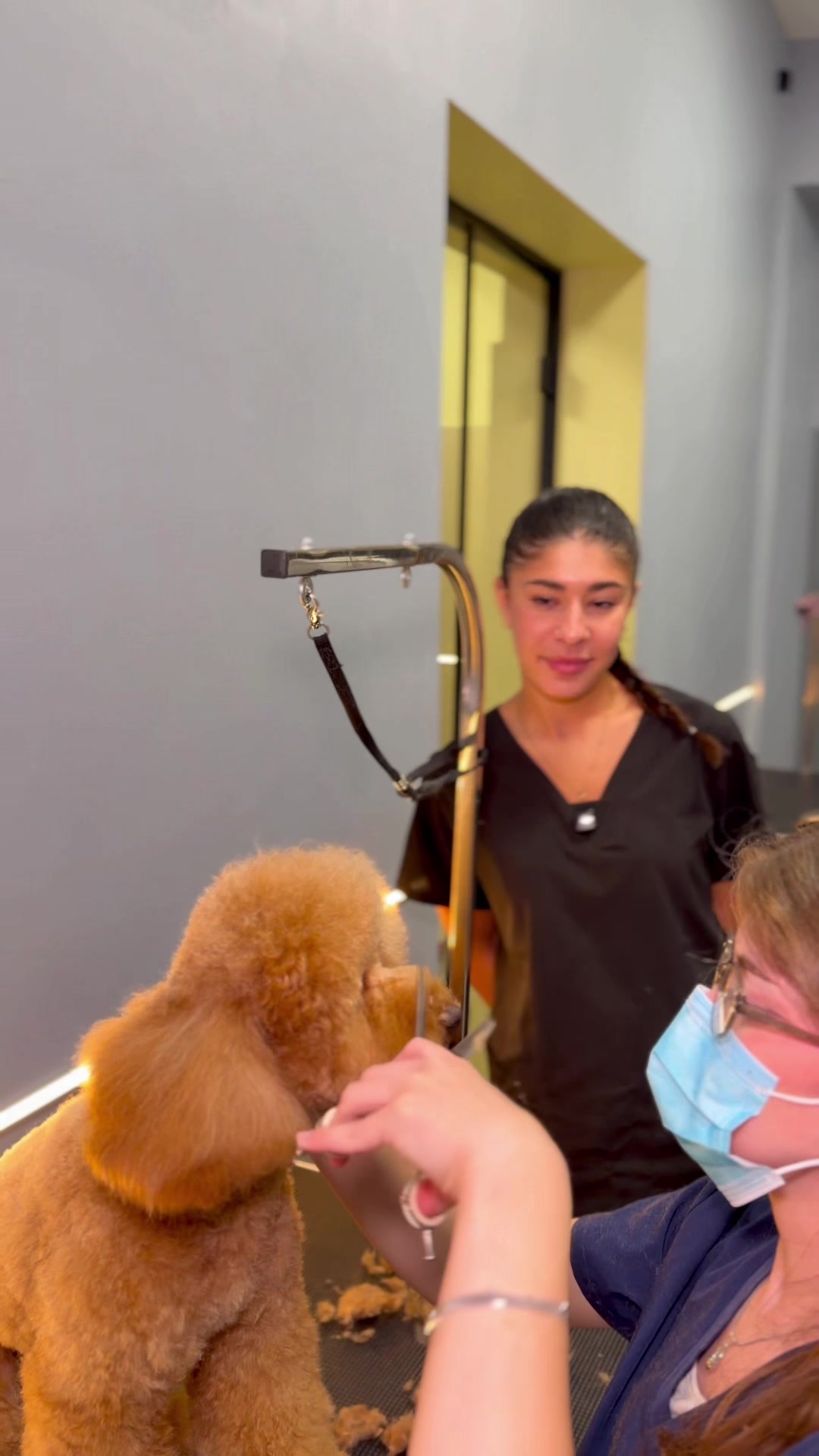 @PetGroomingExpert.md