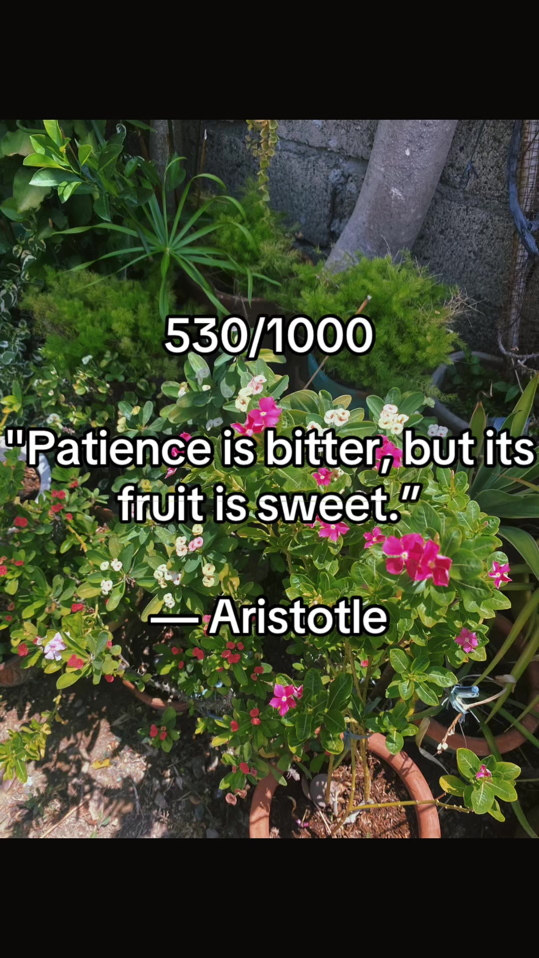 @Put you on peak