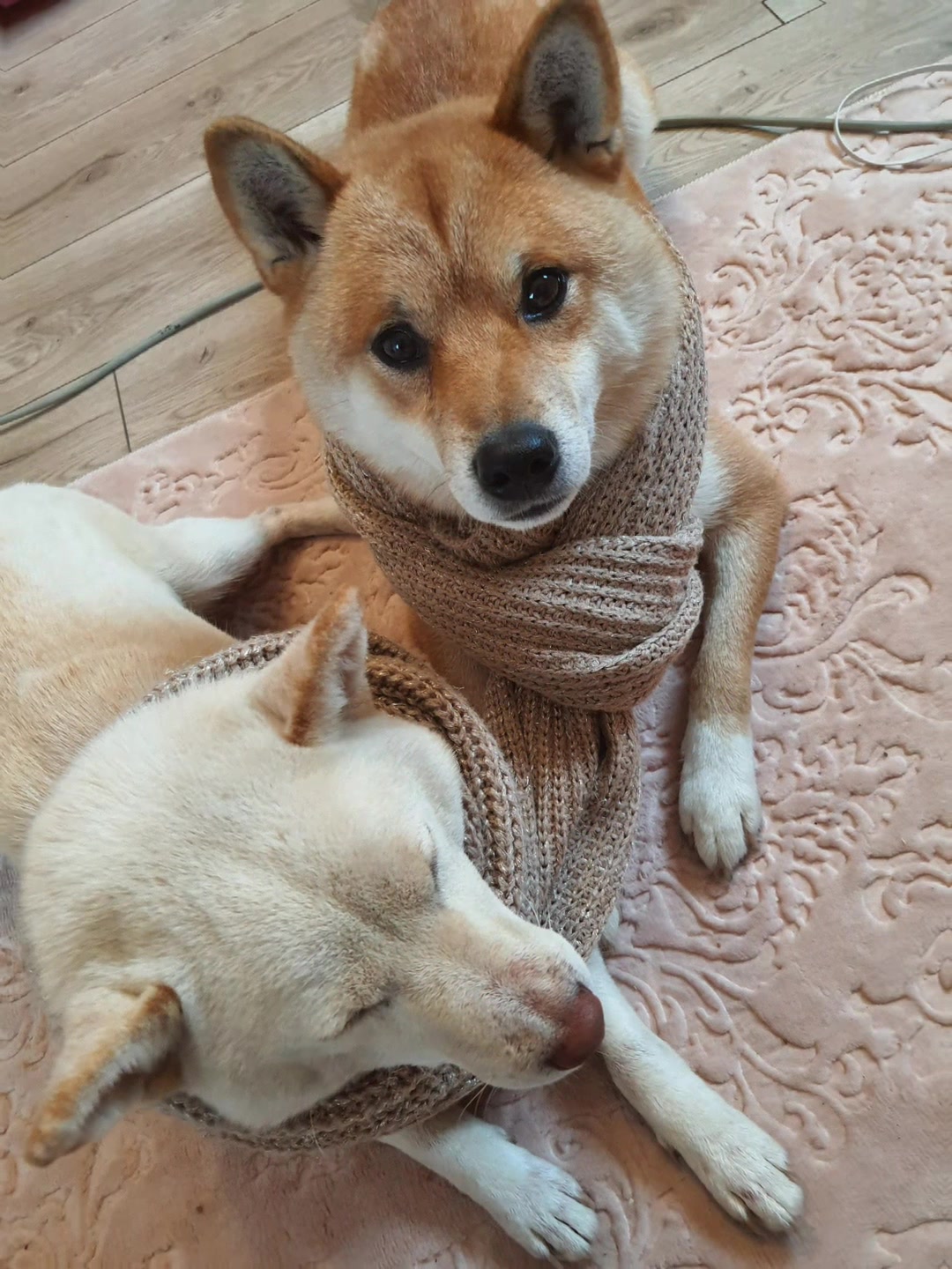 @Akihiro & Yuki