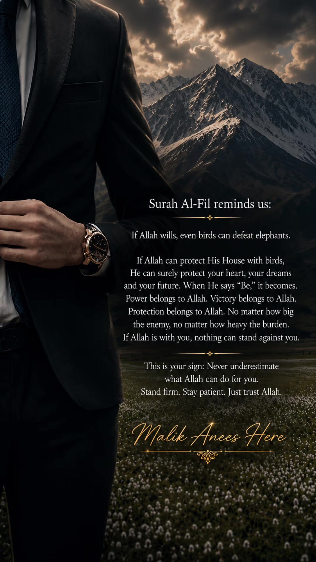 @Malik_Anees_Here