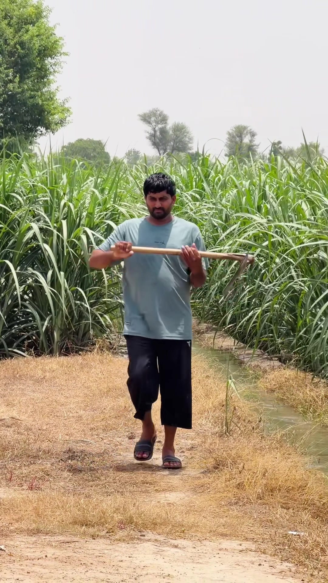 @Punjab Tractors