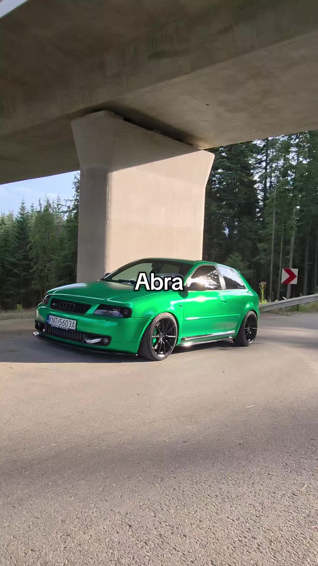 @audiblacks38l