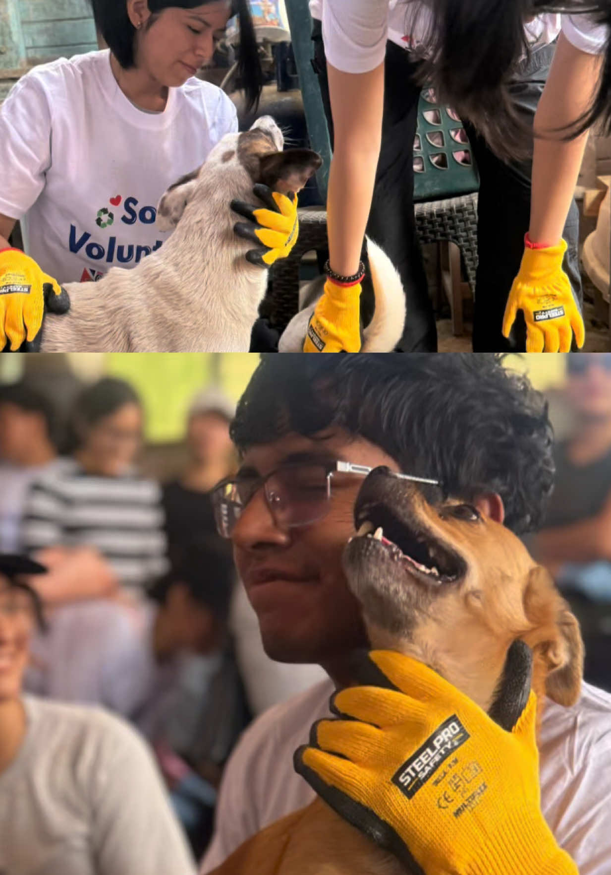@Brit&aacute;nico