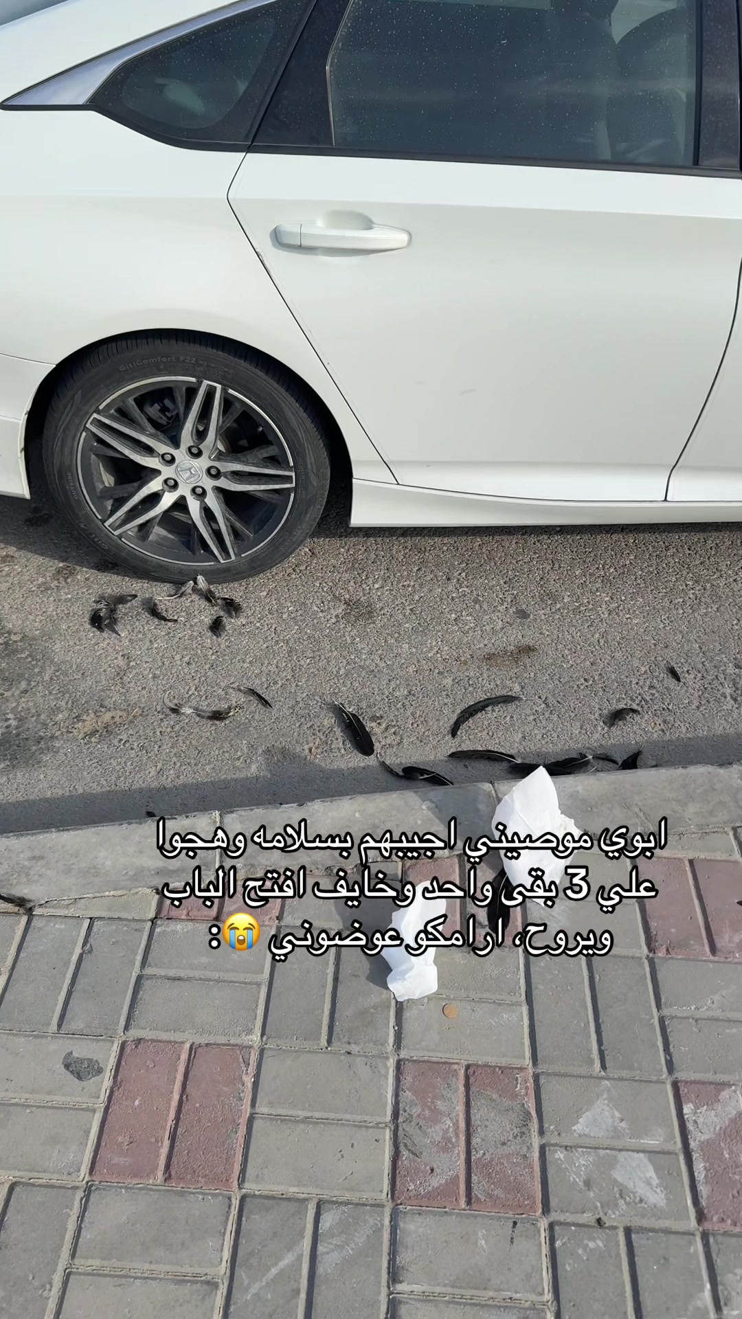@سانتوس اوليڤيرا