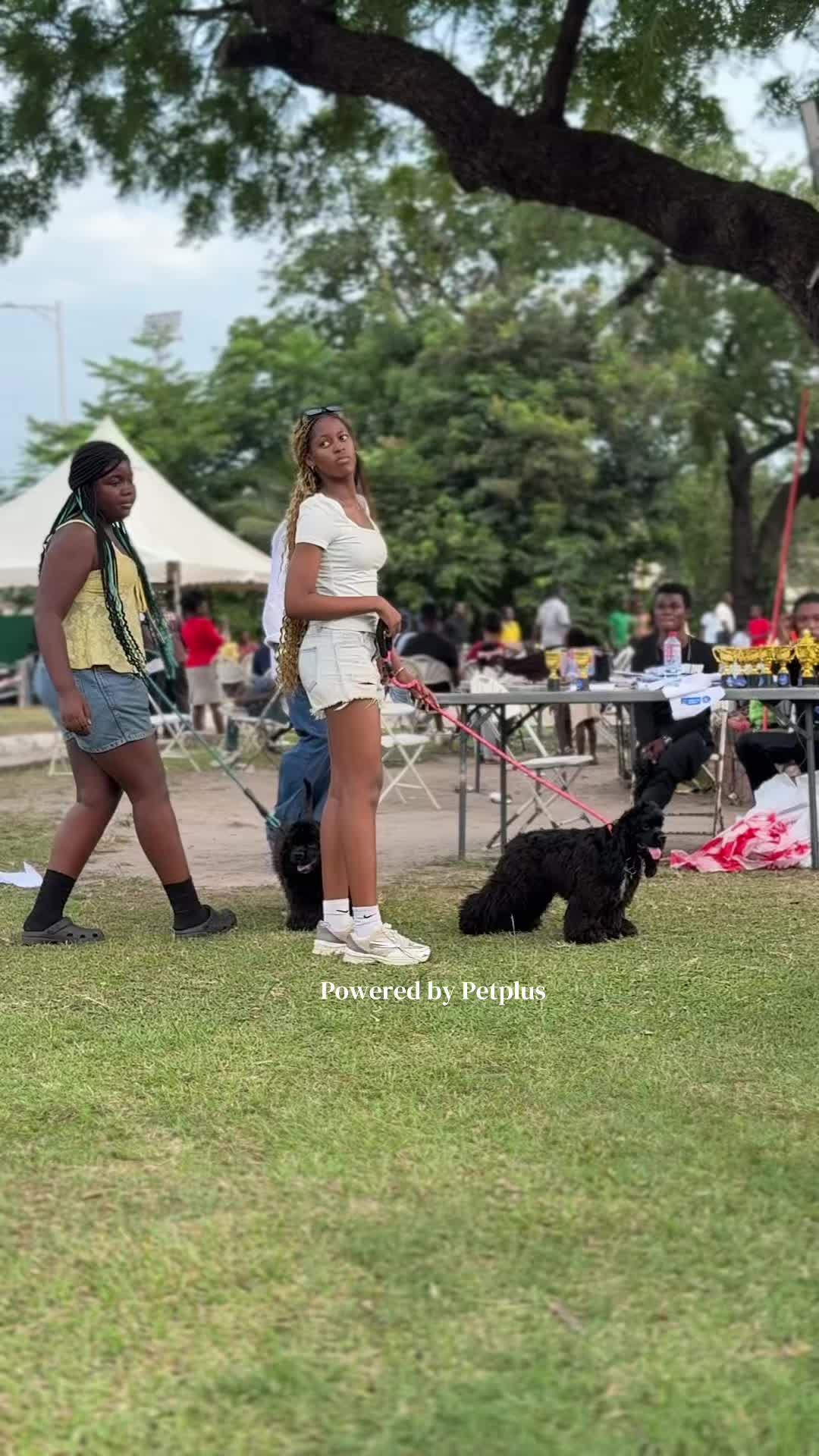 @Mothersheila_DogTv
