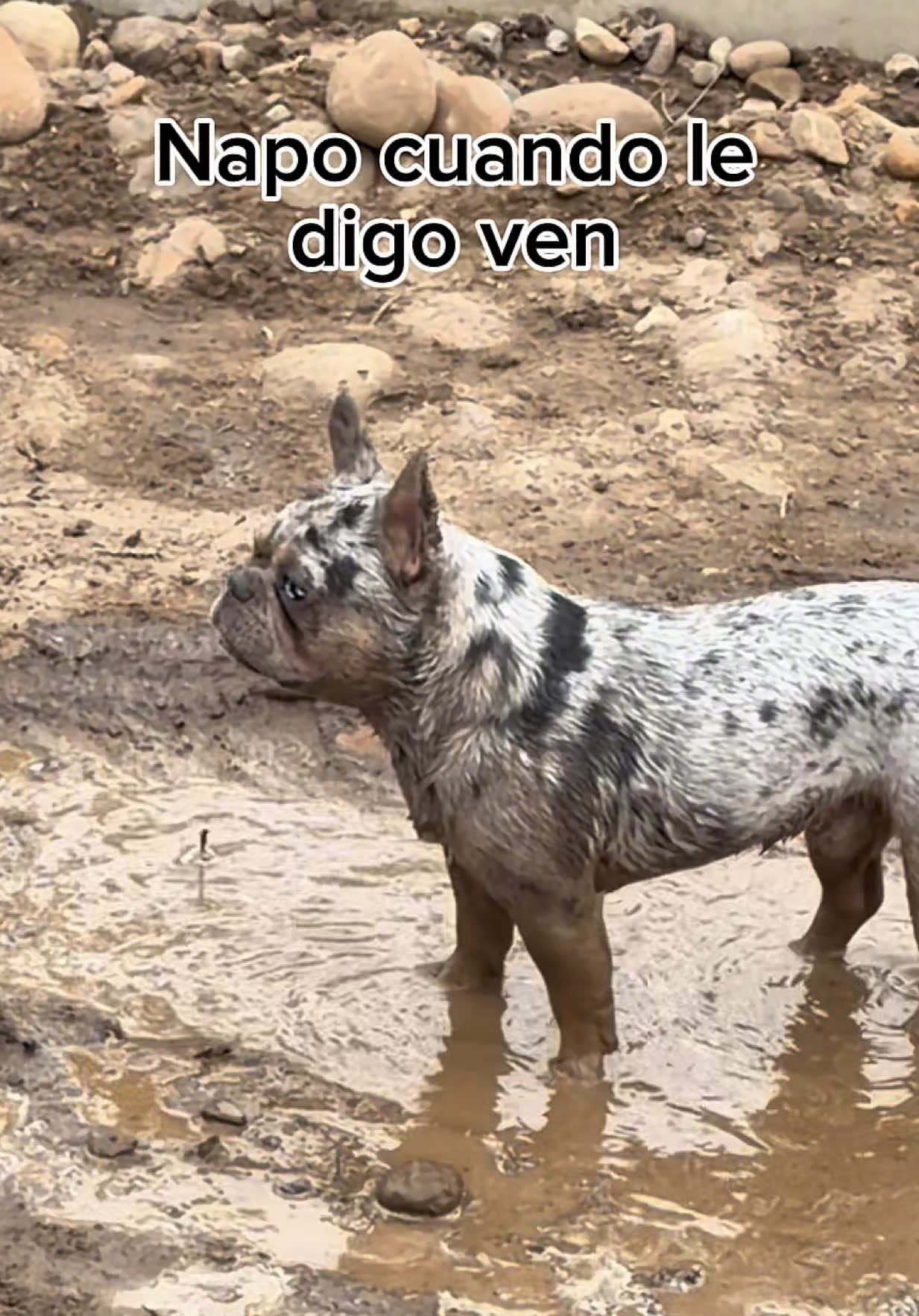 @Hugo Archila