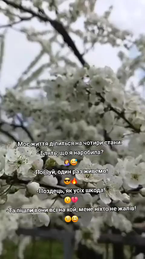 @Yana 💙💛