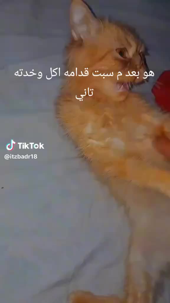 @بـــــــدـــــــر🫆