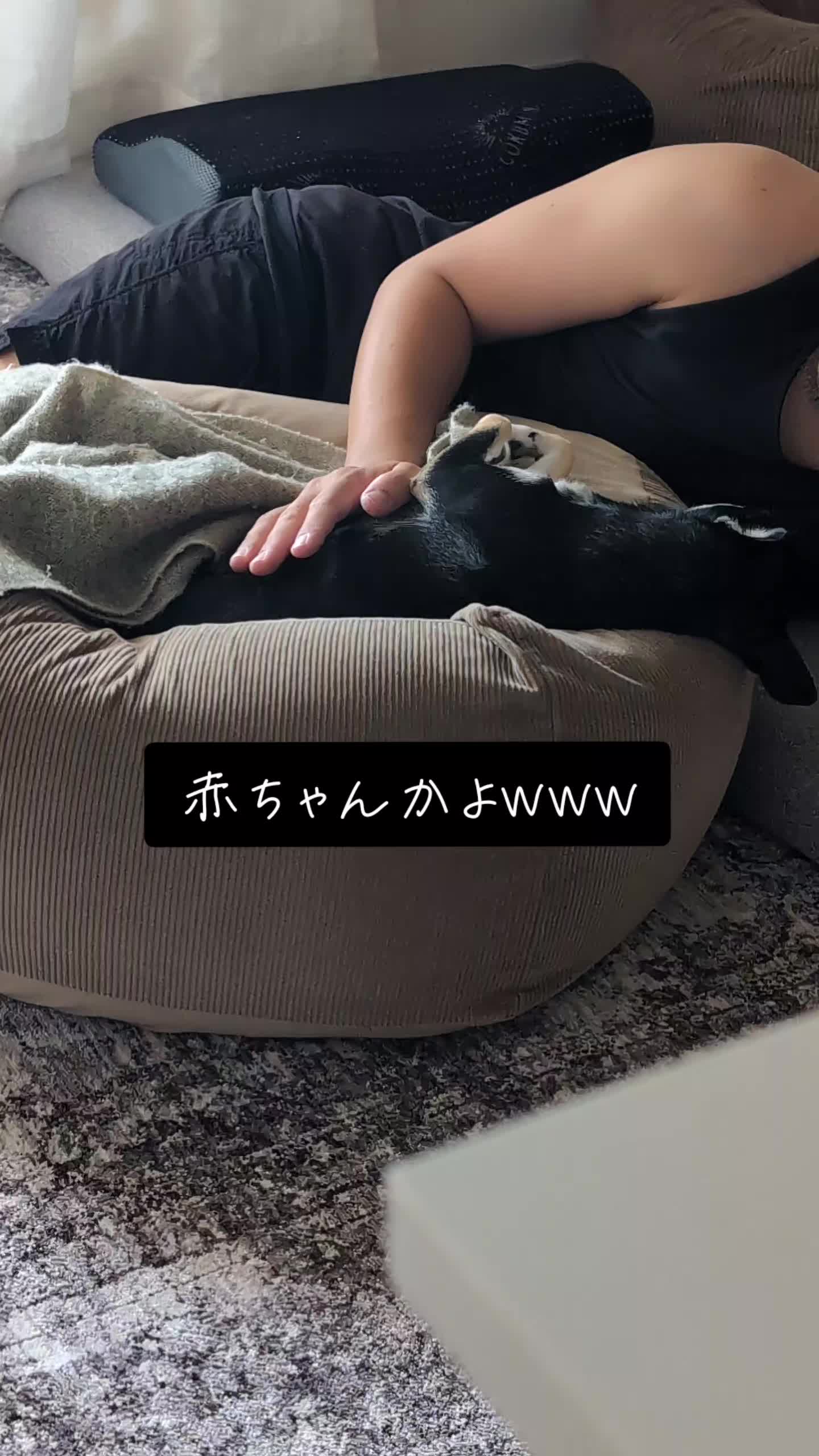 @ZEN
