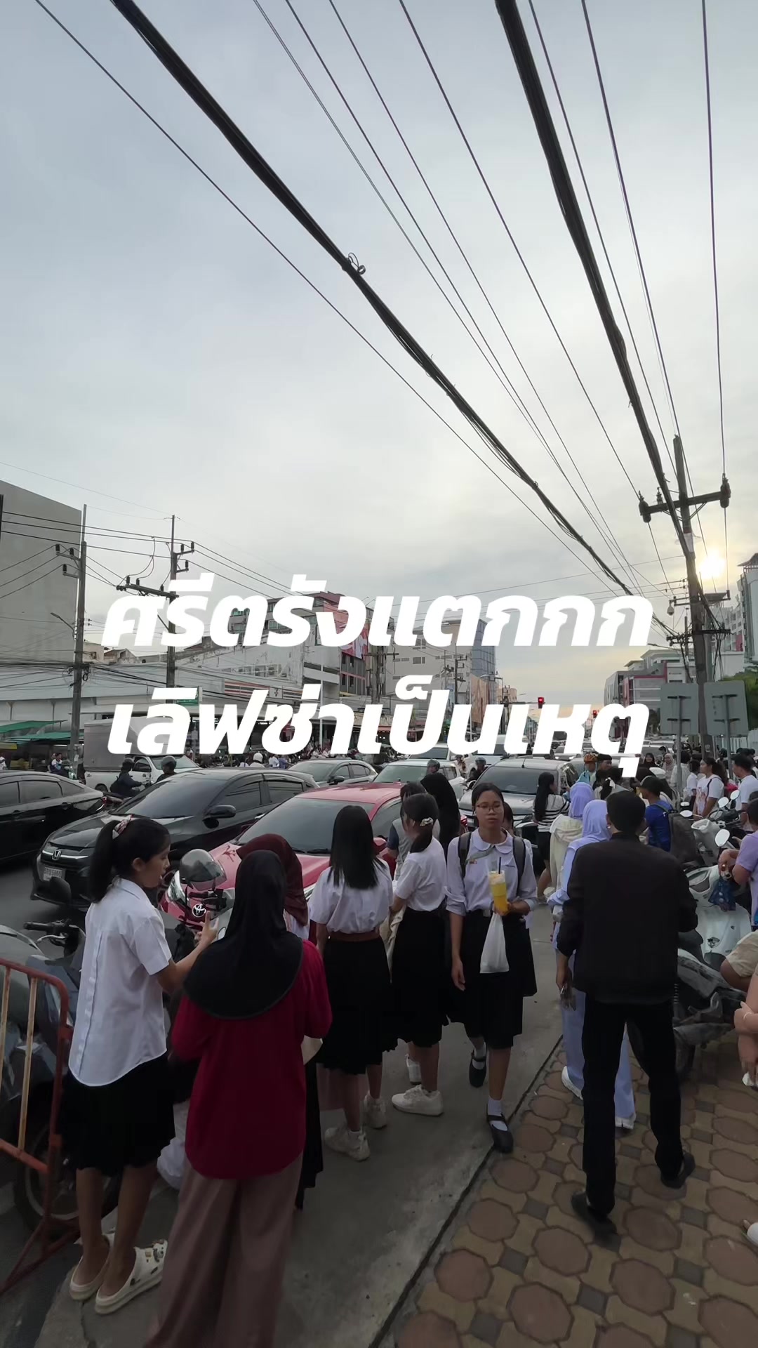 @แมววีน