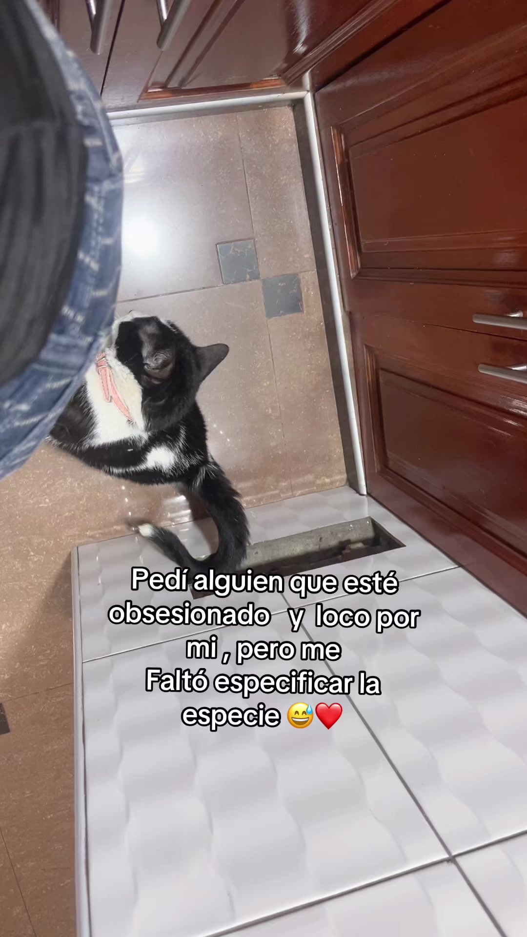 @cajamarquina ❤️