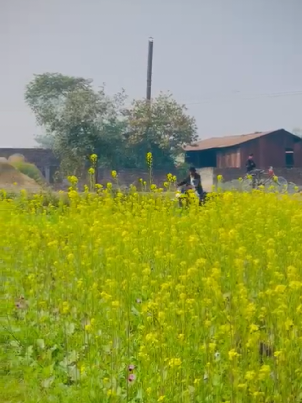 @S@ROJ Gupta