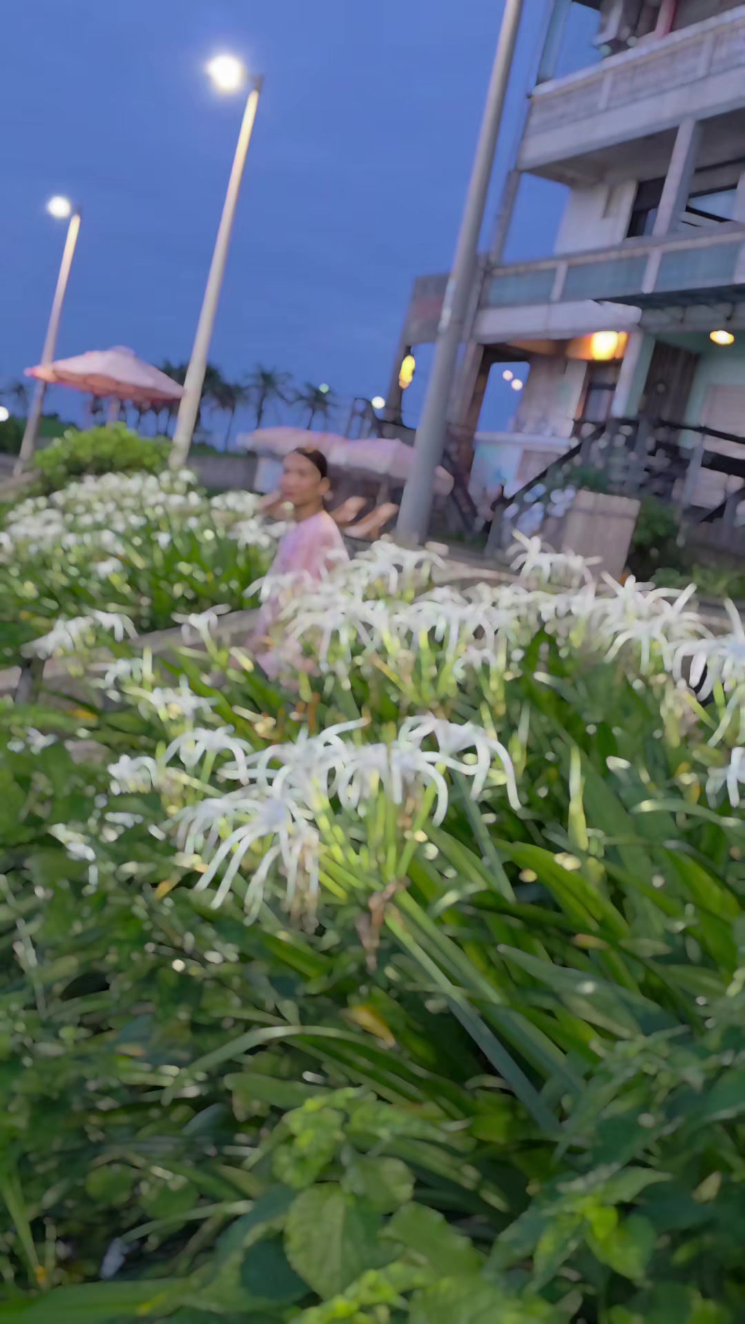 @嘉嘉