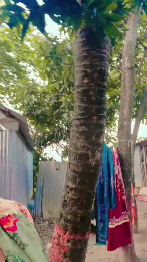 @কষ্টের জীবন আমার😭😭
