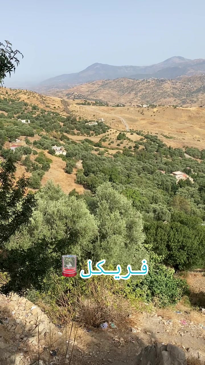 @عبدالرزآق فريكل