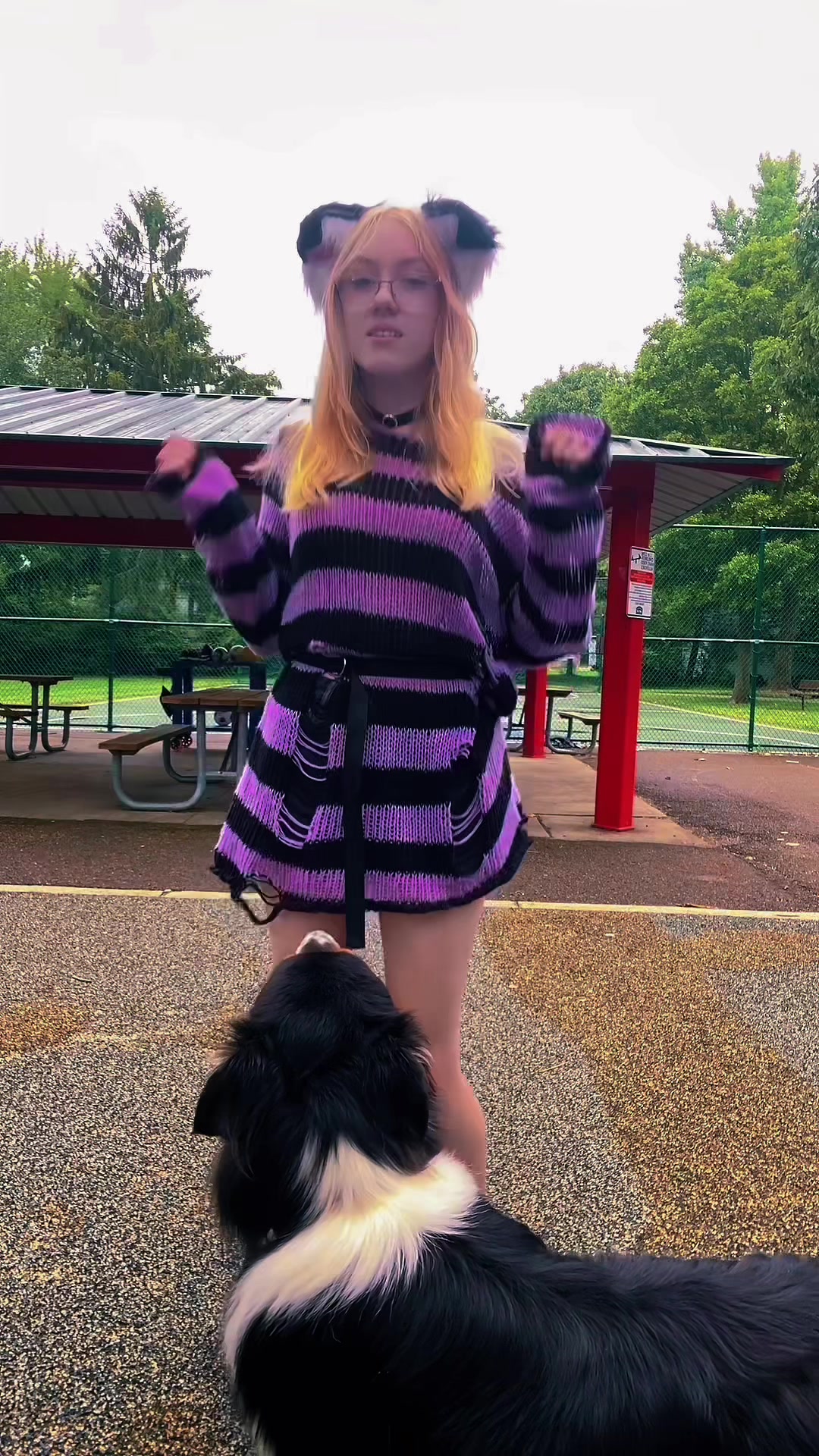 @aviana_ravoli