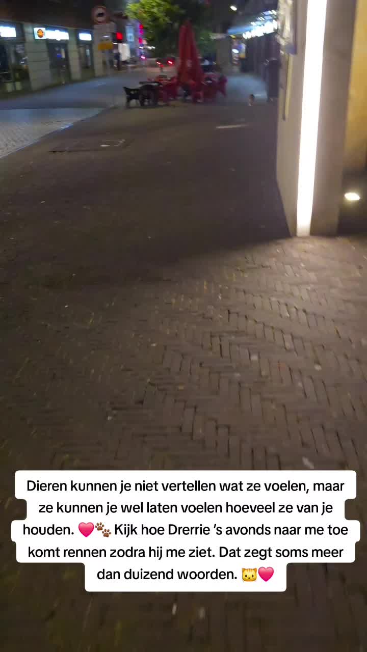 @Zey_motivation