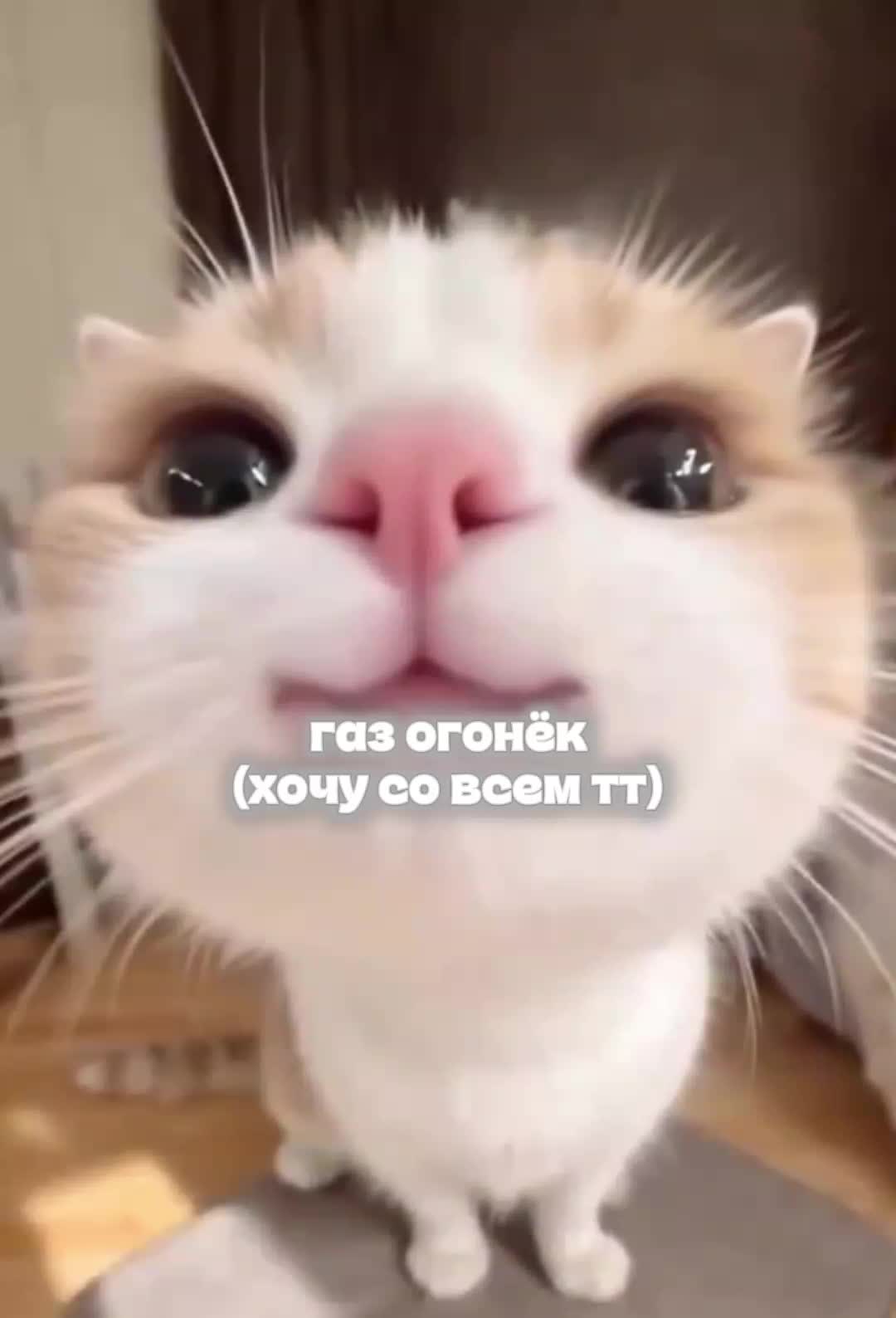 @kariiy✌🏻